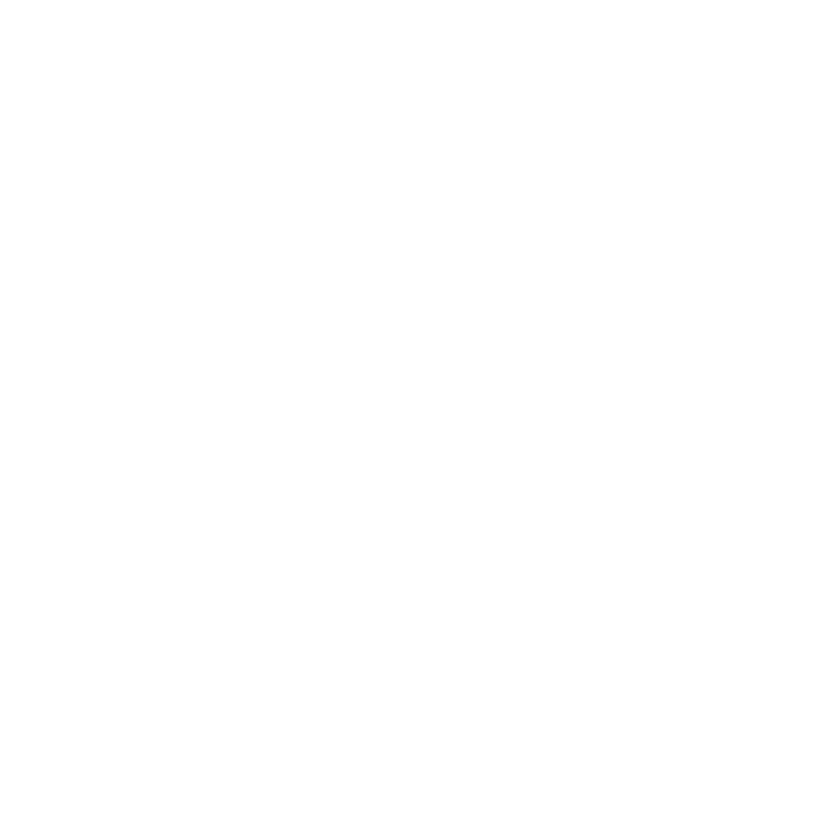 play icon